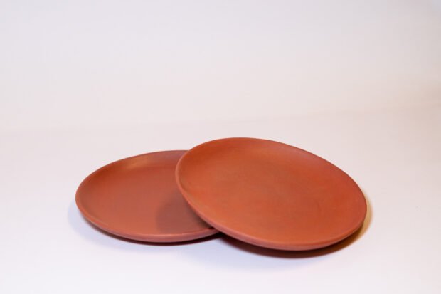 Large Plate - 11 Inch - (150 Pcs)